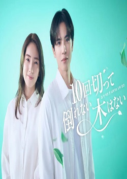 没有砍十次还不倒的树