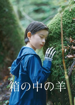 盒子里的羊