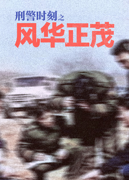 刑警时刻之风华正茂