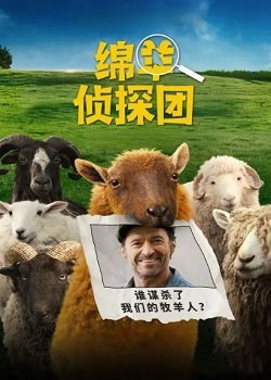 绵羊侦探团