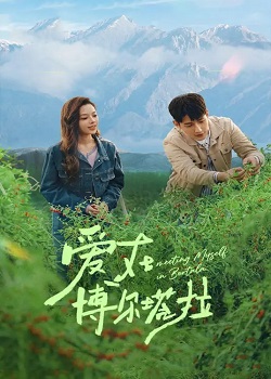 爱在博尔塔拉