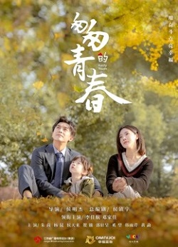 匆匆的青春