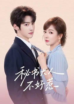 秘书大人不好惹