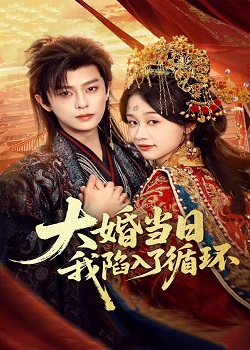 大婚当日，我陷入了循环