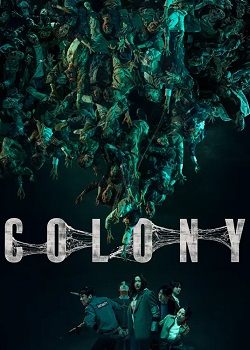 群体/COLONY