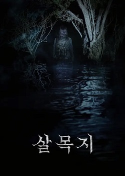 杀木地/살목지