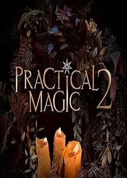 魔法情缘/Practical Magic 2