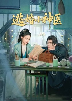 逃婚小神医