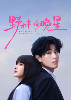 野林向晚星