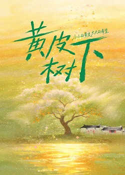 黄皮树下