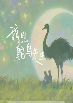 我的鸵鸟先生