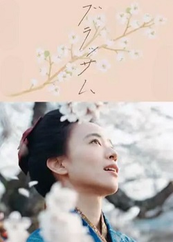 花朵盛开/ブラッサム