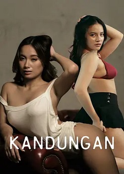 秘密日记/Kandungan
