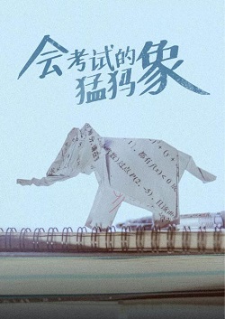 会考试的猛犸象