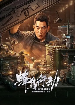蜂鸟行动