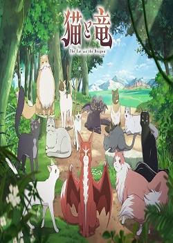猫与龙/猫と竜
