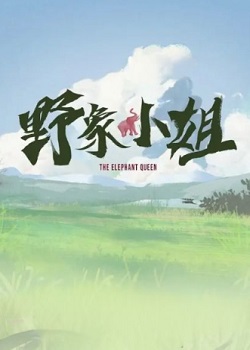野象小姐
