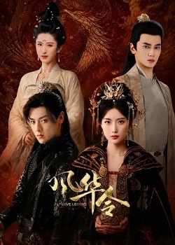 风华令