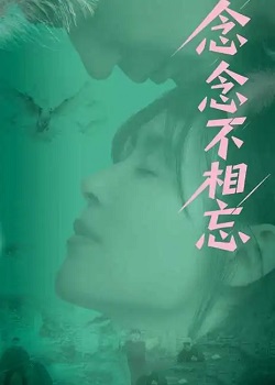 念念不相忘