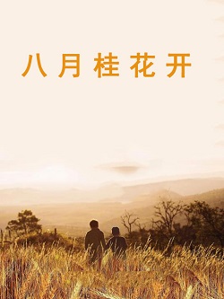 八月桂花开
