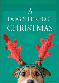 狗狗的完美圣诞节/A Dog’s Perfect Christmas