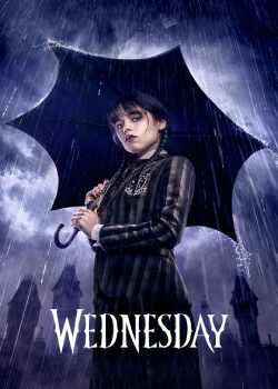 星期三/Wednesday