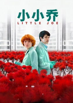 小小乔