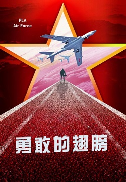 勇敢的翅膀