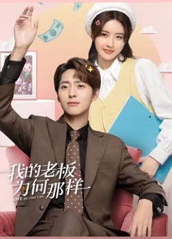 我的老板为何那样