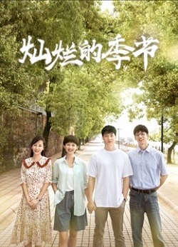 灿烂的季节
