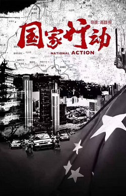 国家行动