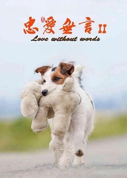 忠爱无言2