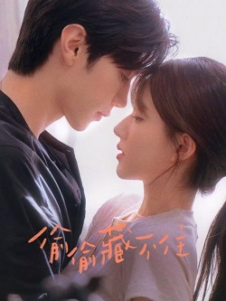 偷偷藏不住TV版