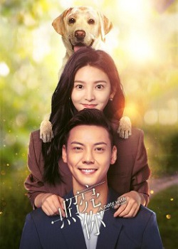 照亮你