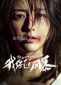 我经过风暴