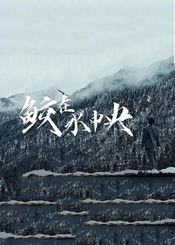 鲛在水中央