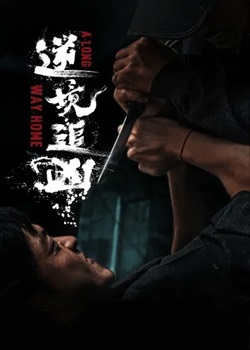逆境追凶
