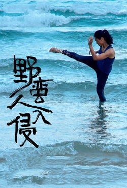 野蛮人入侵