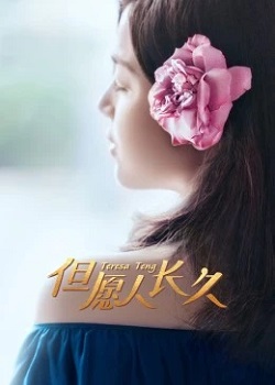 但愿人长久TV版