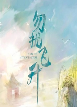 勿扰飞升