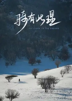 骑有此理