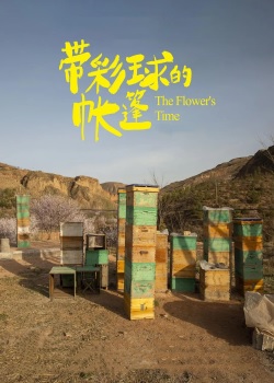 带彩球的帐篷