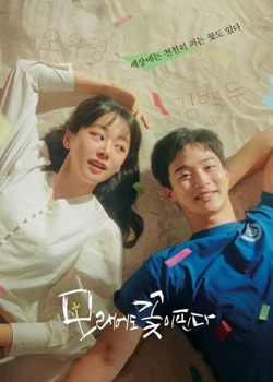 沙之花也有春天