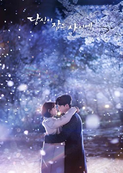 当你沉睡时TV版