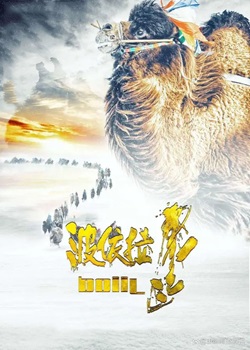 波依拉