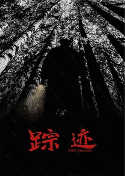 踪迹