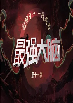 最强大脑第十一季