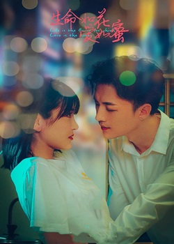 生命如花爱如蜜