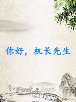 你好，机长先生