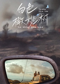 白色橄榄树